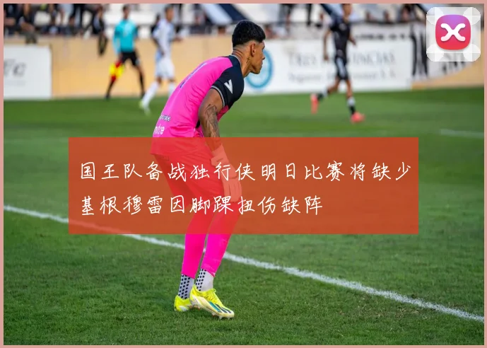 国王队备战独行侠明日比赛将缺少基根穆雷因脚踝扭伤缺阵